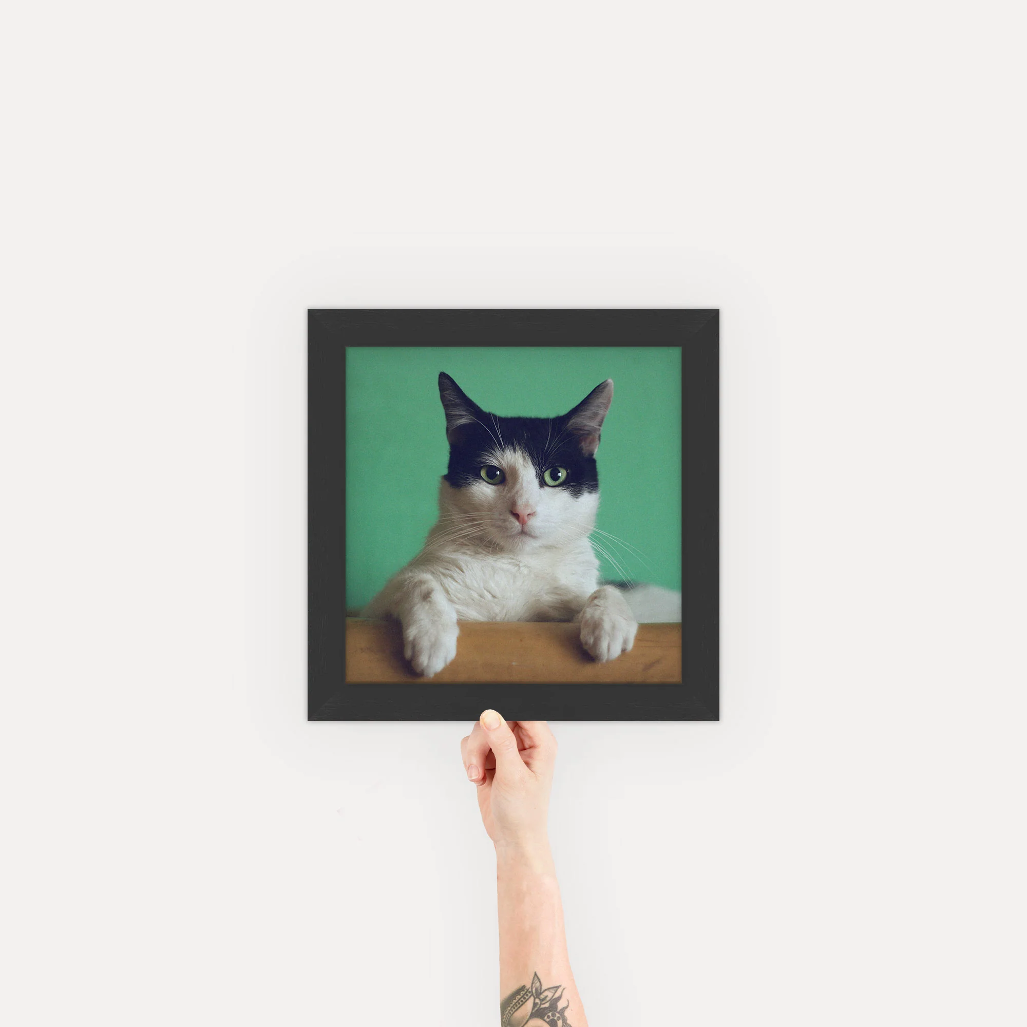Product image 37