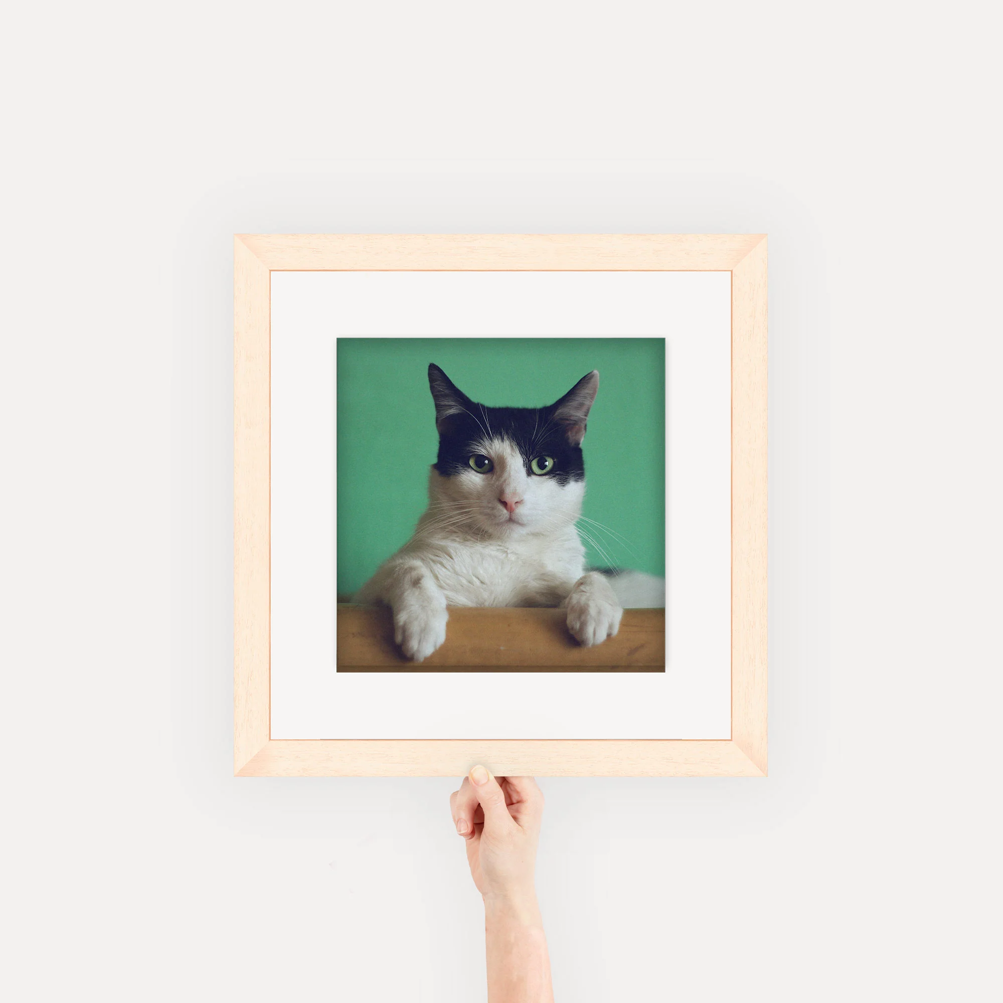 Product image 42