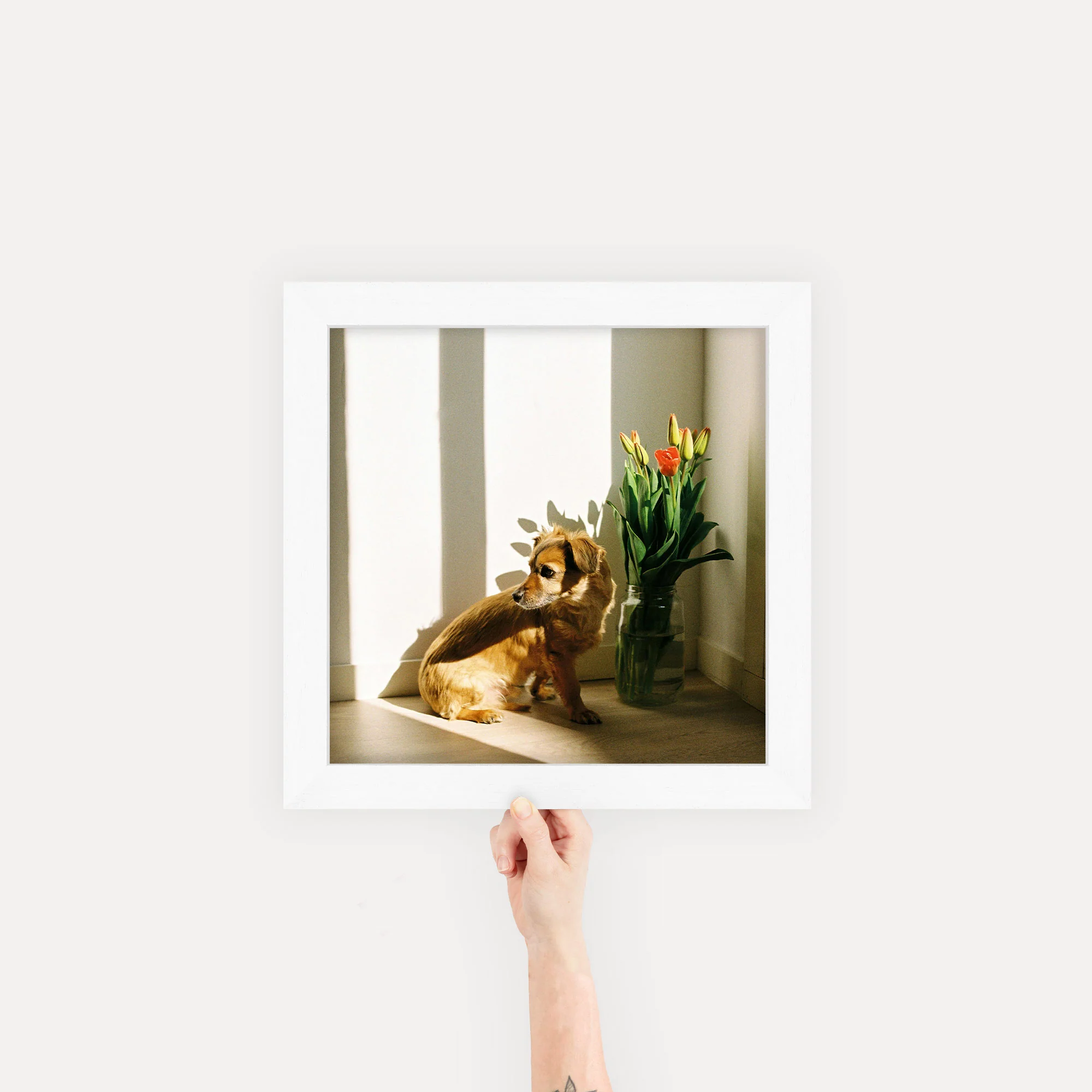 Product image 45