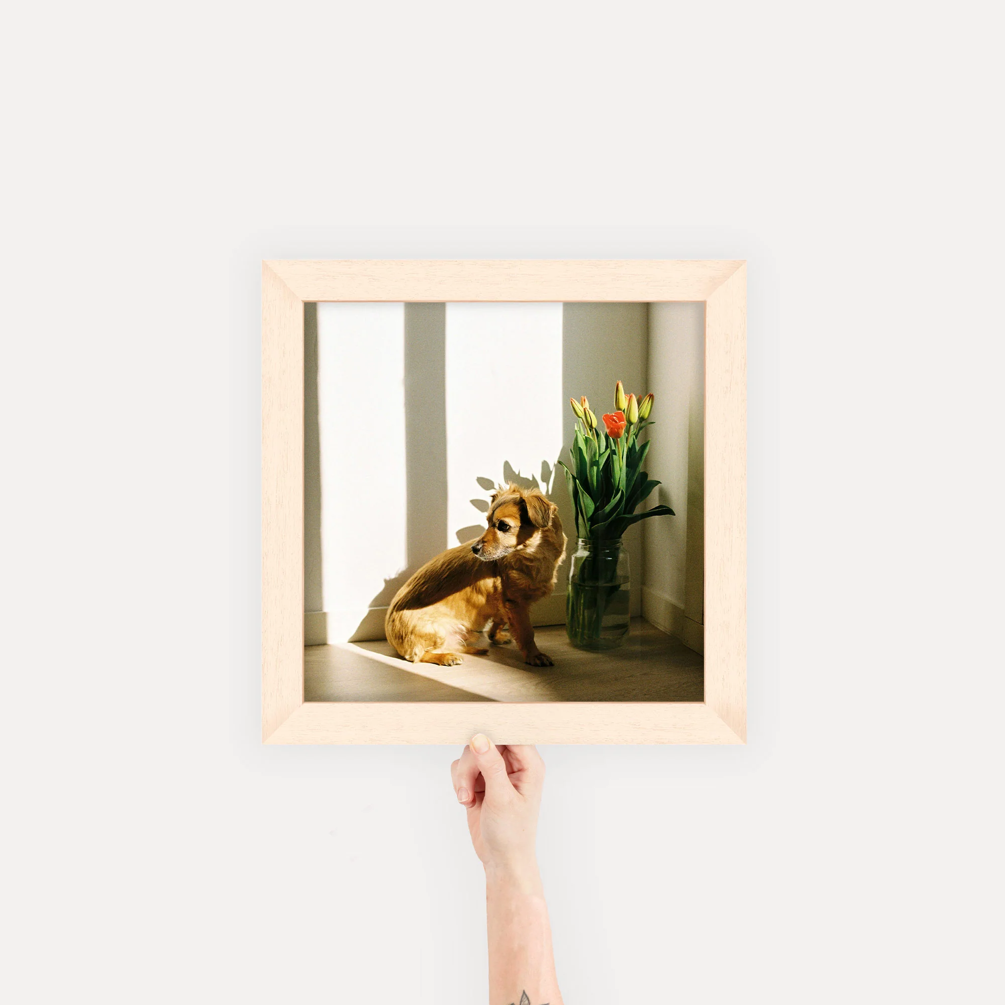 Product image 47